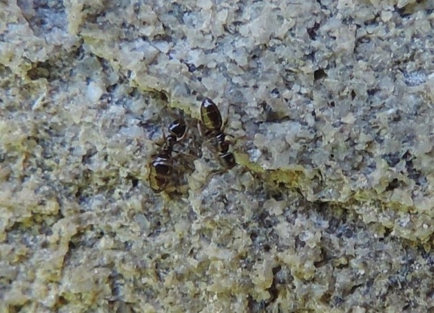 DSCN7272-min.JPG