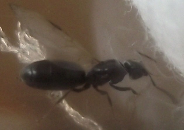 DSCF5434.JPG