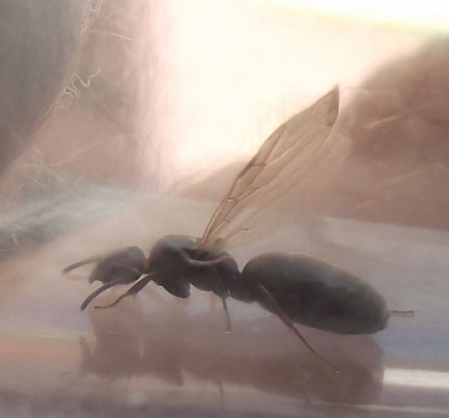 DSCF5443.JPG