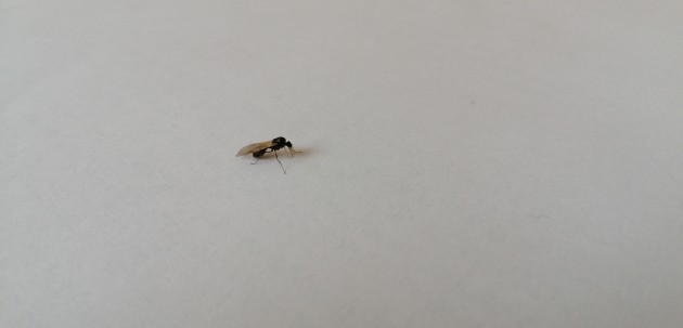 IMG_20210608_143752.jpg