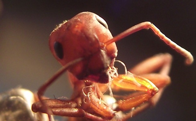 DSCF5493.JPG