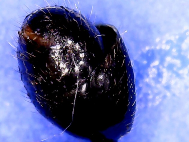 S20210731_0006.jpg
