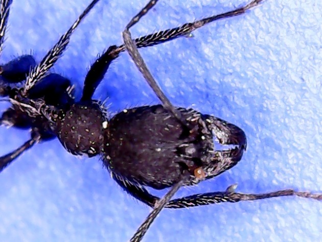 S20210731_0001.jpg