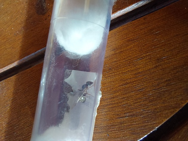 20220707_185041.jpg
