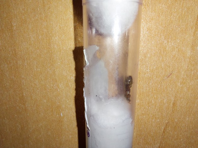 20220707_215113.jpg