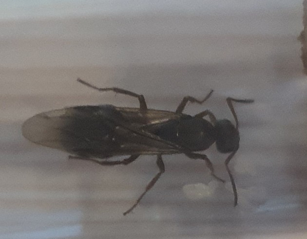 20220710_190119.jpg