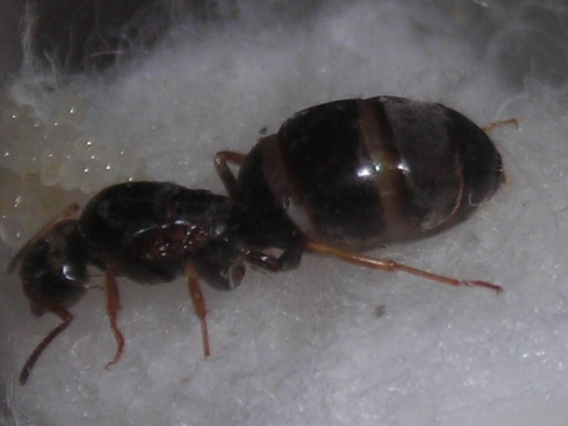 RSCN1683.JPG
