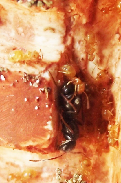 DSCF5525.JPG
