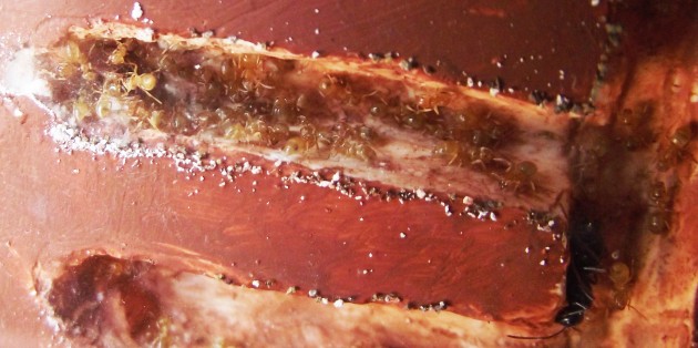 DSCF5526.JPG
