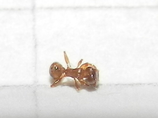 RSCN2438.JPG