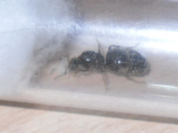 SDC12564.JPG