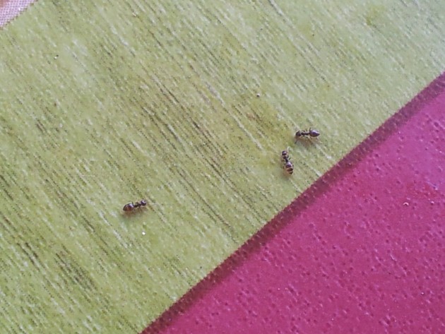20120811_180749.jpg