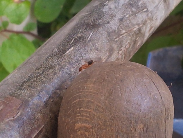 20120811_181152.jpg