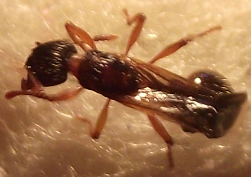 DSCF3874.JPG