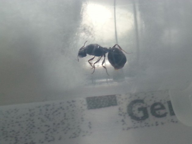 20130716_131506[1].jpg
