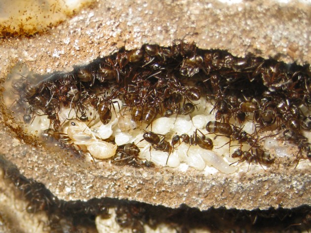 2013-06-09 13.18.50.jpg