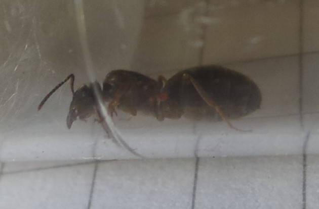 20120101_012338.jpg