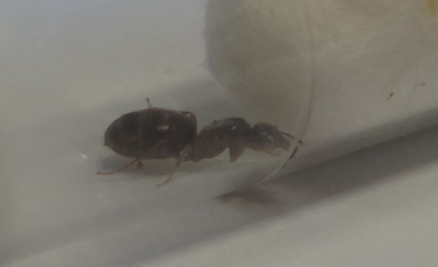 20120101_012456.jpg