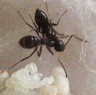 DSCF3907.JPG