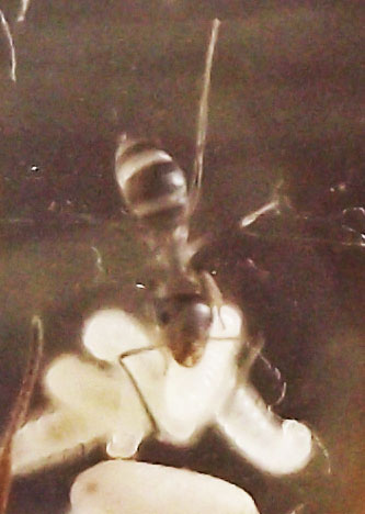 DSCF3895.JPG