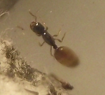 DSCF5635.JPG