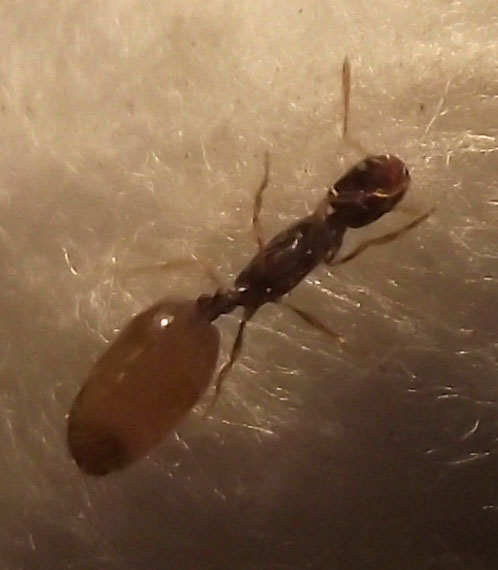 DSCF5638.JPG