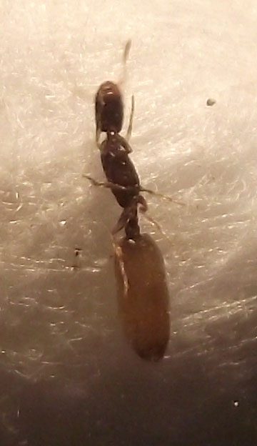 DSCF5639.JPG