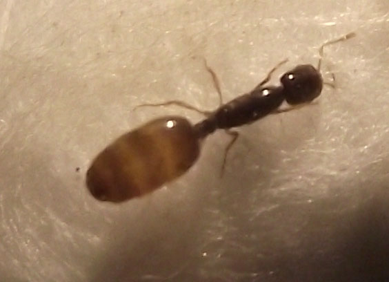 DSCF5642.JPG