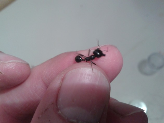20130911_194942.jpg