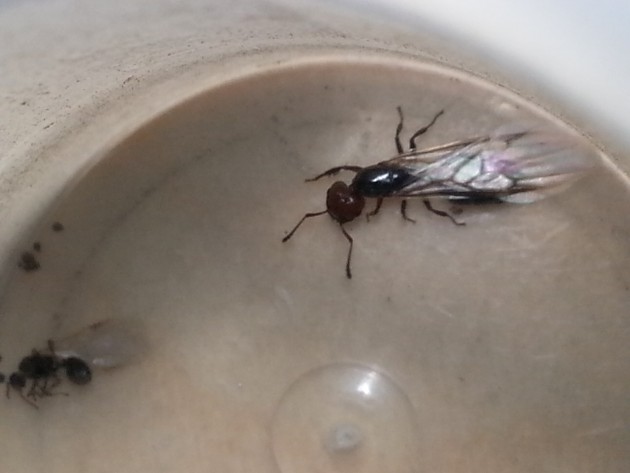 20130920_235609[1].jpg