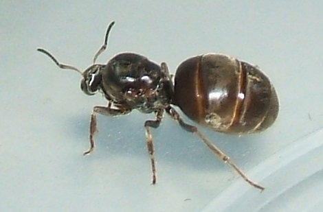 DSCF2771.JPG