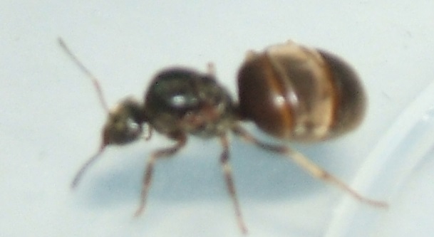 DSCF2772.JPG