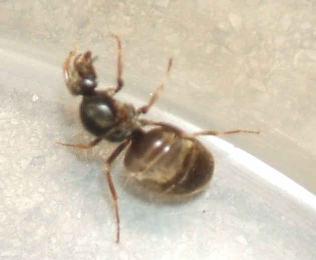 DSCF2758.JPG