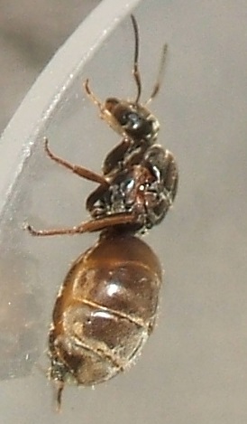 DSCF2766.JPG