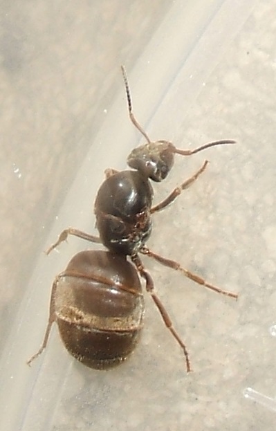 DSCF2759.JPG