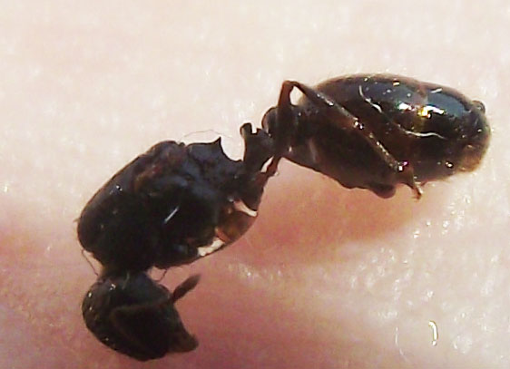 DSCF5843.JPG