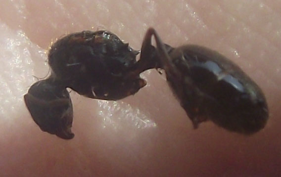 DSCF5845.JPG