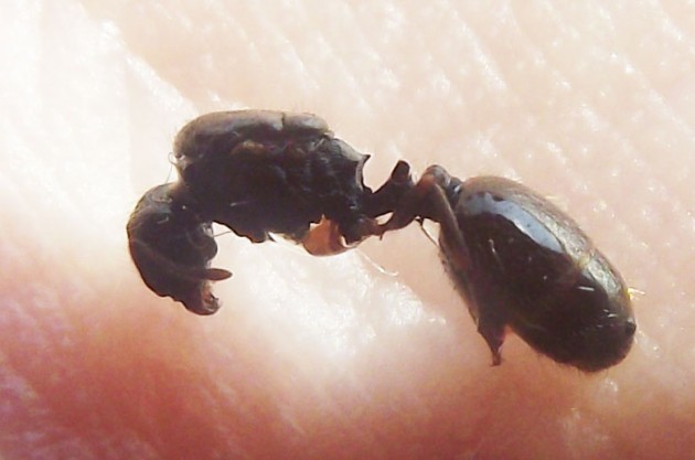 DSCF5846.JPG