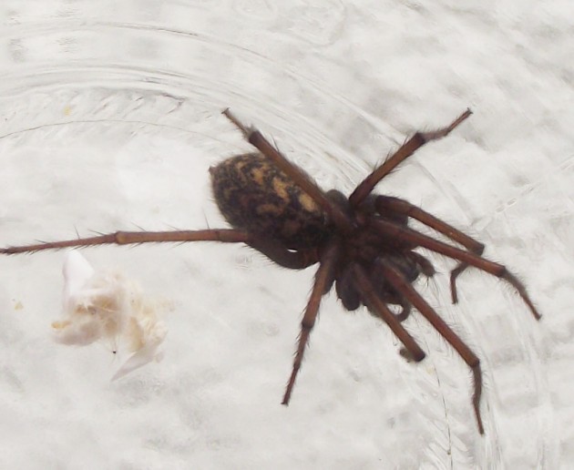 DSCF4095.JPG