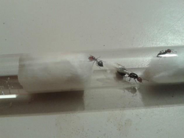 20130927_213213.jpg