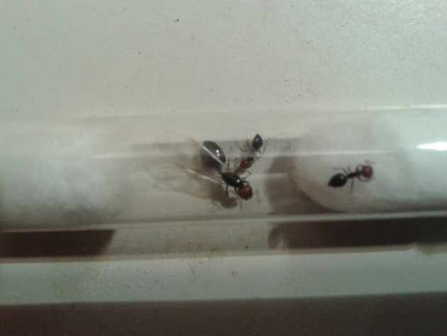 20130927_213256.jpg