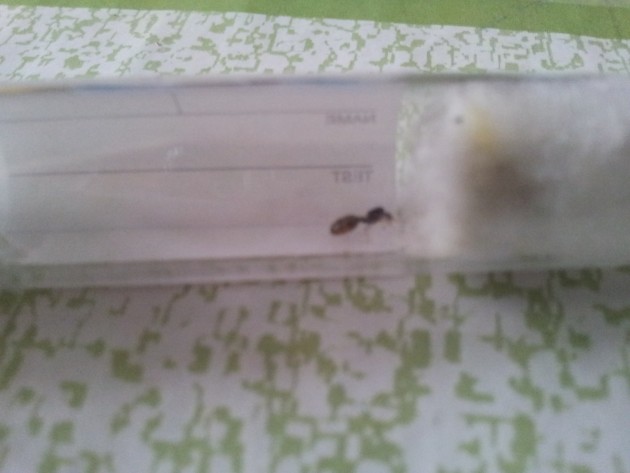 20130928_131118.jpg