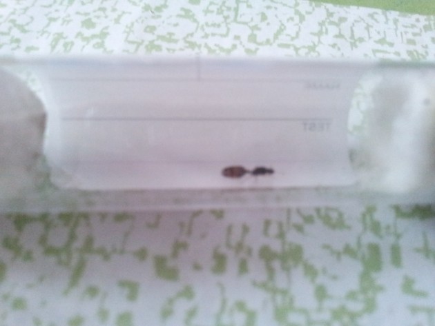 20130928_131046.jpg