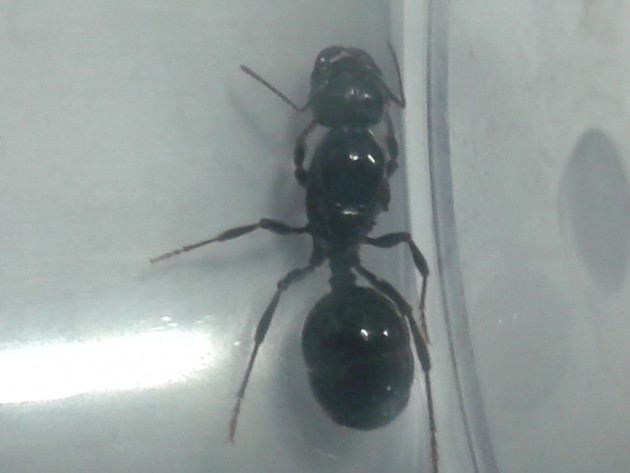 20131001_175726.jpg