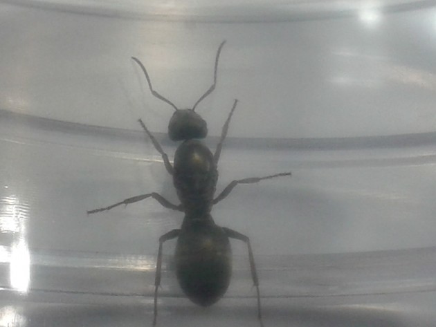 20131001_175526.jpg
