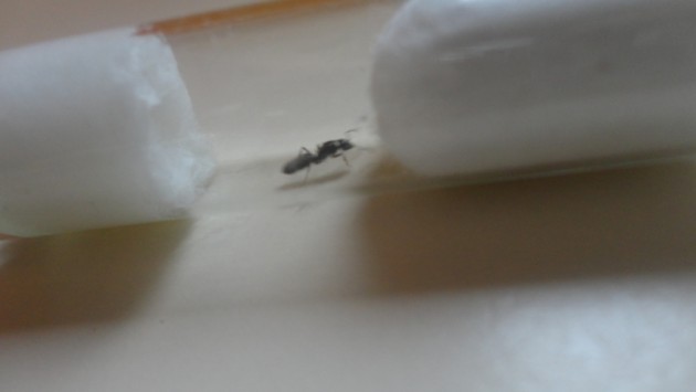 DSC02699 (FILEminimizer).JPG