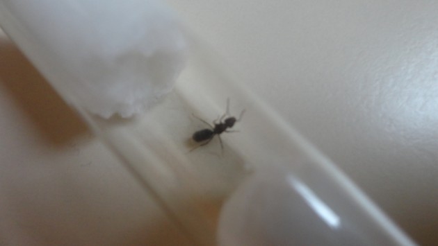 DSC02695 (FILEminimizer).JPG