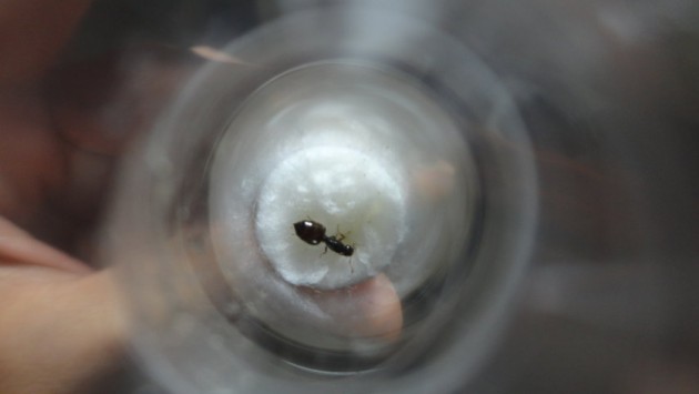 DSC02703 (FILEminimizer).JPG