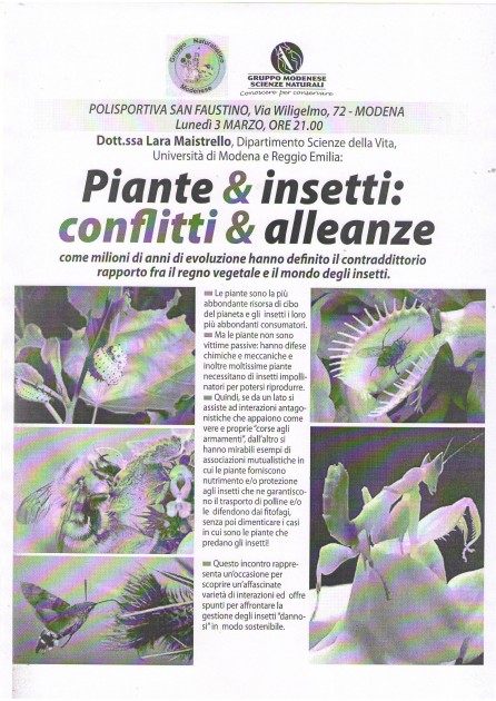 Insetti e piante.JPG