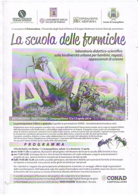 La scuola delle formiche.JPG